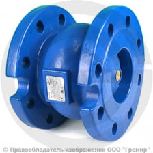Клапан обратный осевой чугунный фланцевый Ду-300 Ру-10 (Т<100°С) диск чугун NVD 402R Ридан