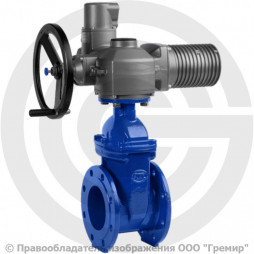 Задвижка чугунная фланцевая Ду-65 Ру-16 (Т<110°С) VOC4241CM Tecofi с электроприводом Auma (400В)
