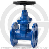 Задвижка чугунная фланцевая Ду-80 Ру-16 (Т<120°С) гайка чугун 30ч39р Китай Задвижка чугунная фланцевая Ду-80 Ру-16 (Т<120°С) гайка чугун 30ч39р Китай