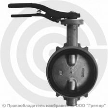 Затвор дисковый поворотный межфланцевый Ду-300 Ру-16 с чугунным диском Giacomini R59W