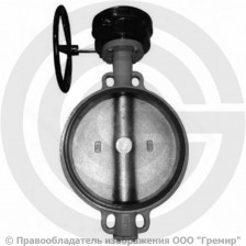 Затвор дисковый поворотный межфланцевый с редуктором Ду-500 Ру-16 с чугунным диском Giacomini R59W